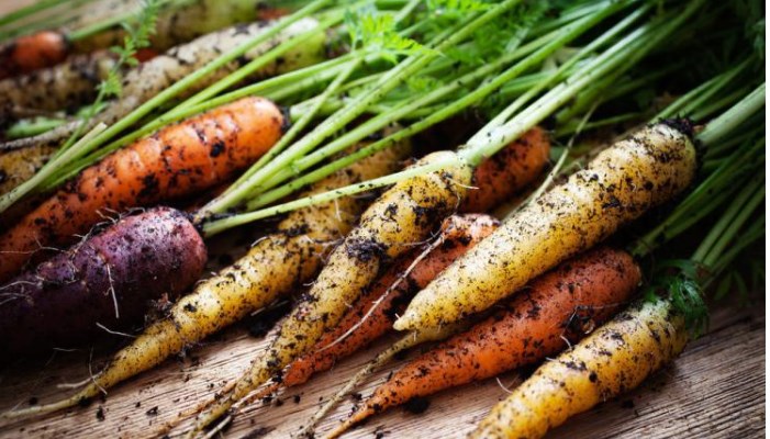 Tren Makanan Organik, Benarkah Lebih Sehat